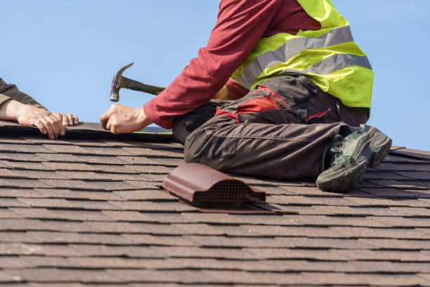 Best Roof Repair Services  in Stony Point, MI