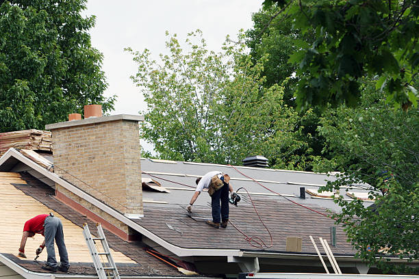 Quick and Trustworthy Emergency Roof Repair Services in Stony Point, MI