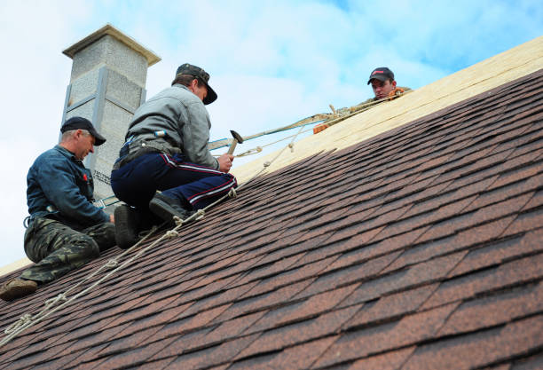 Best Roof Waterproofing Services  in Stony Point, MI