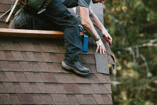 Best Commercial Roof Installation  in Stony Point, MI