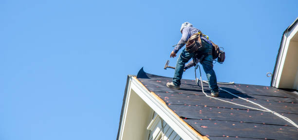 Best Roof Waterproofing Services  in Stony Point, MI
